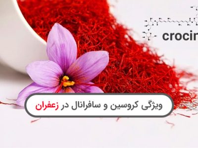 کروسین زعفران و سافرانال زعفران چیست، همه چیز در مورد اصلی‌ترین ویژگی‌های زعفران