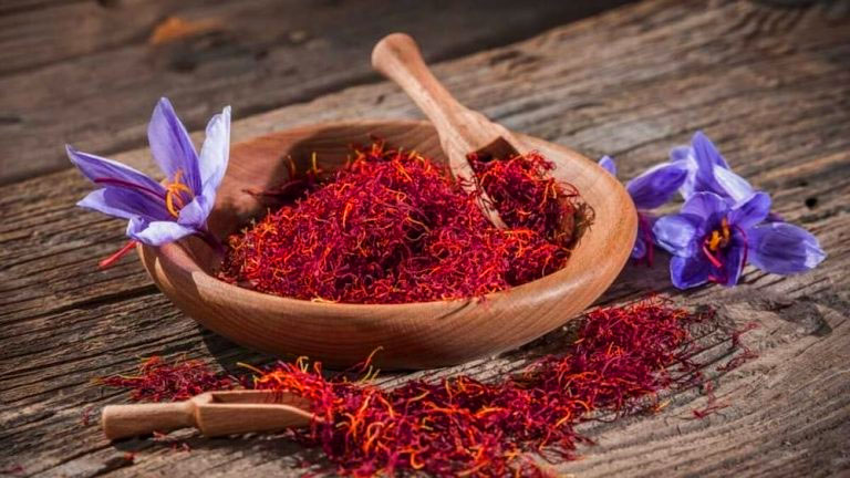نوین زعفران و نقش آن در صادرات ۳۰۰ میلیون دلاری طلای سرخ ایران