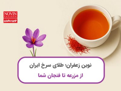 نوین زعفران؛ طلای سرخ ایران از مزرعه تا فنجان شما