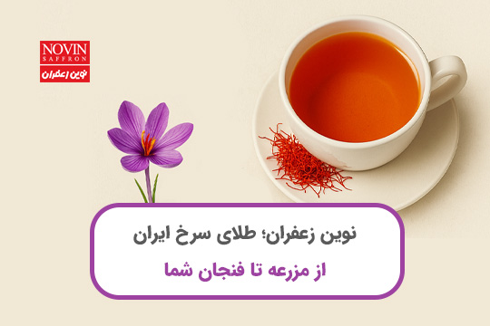 نوین زعفران؛ طلای سرخ ایران از مزرعه تا فنجان شما