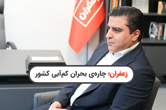 کشت زعفران پاسخی منطقی به مشکل کم آبی از نگاه دکتر اردیخانی